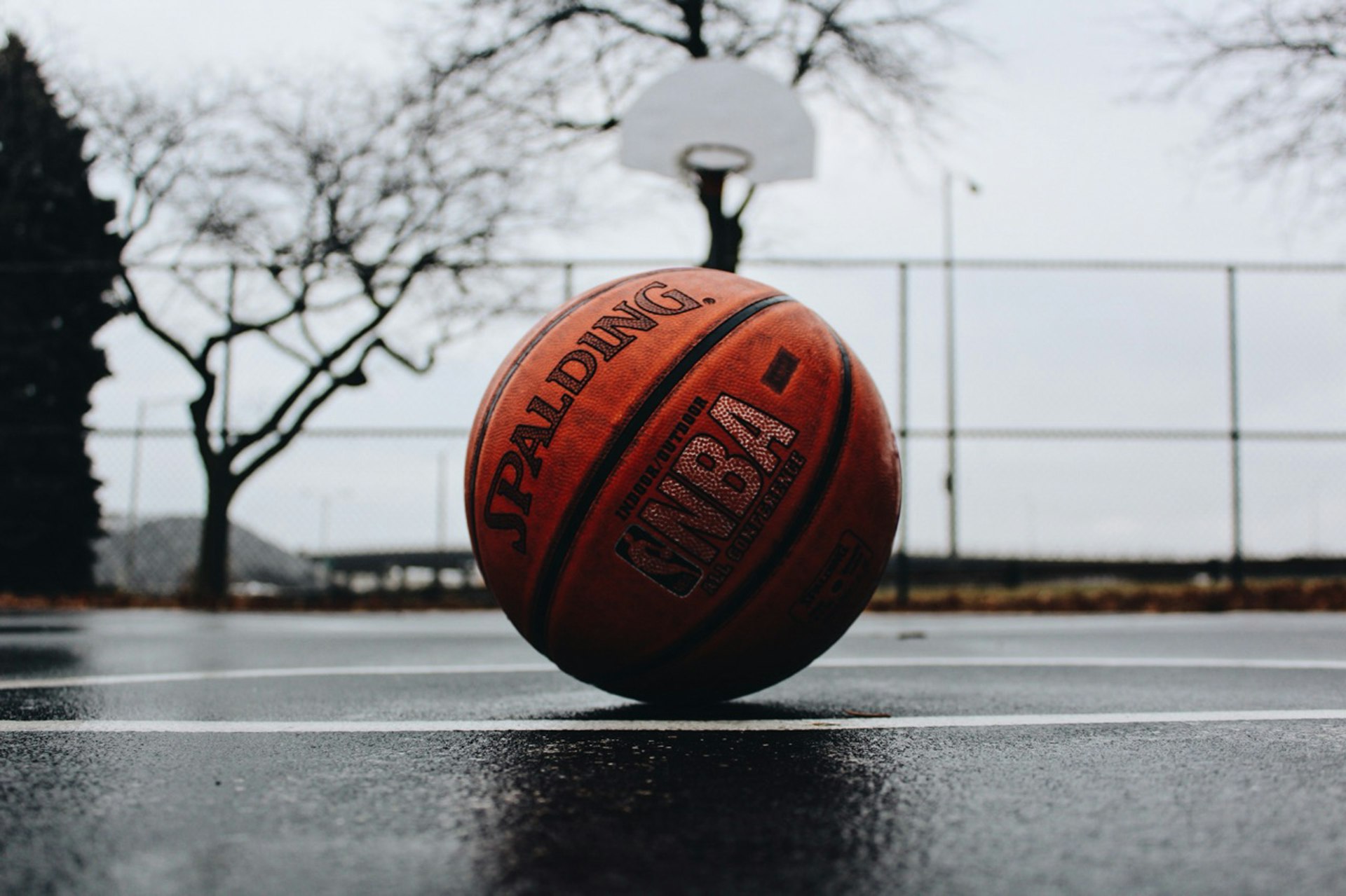 NBA篮球盛宴